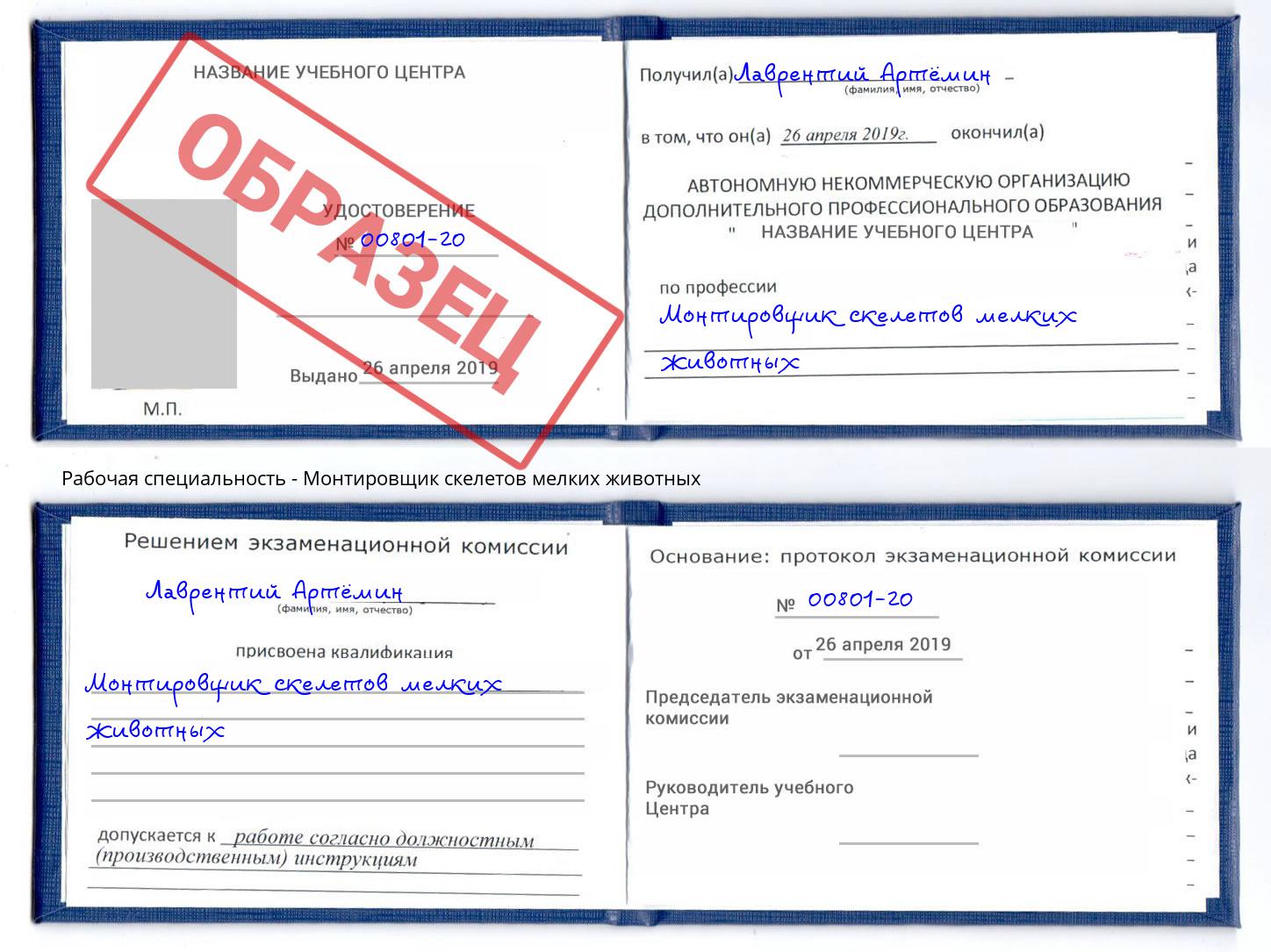 Монтировщик скелетов мелких животных Благодарный