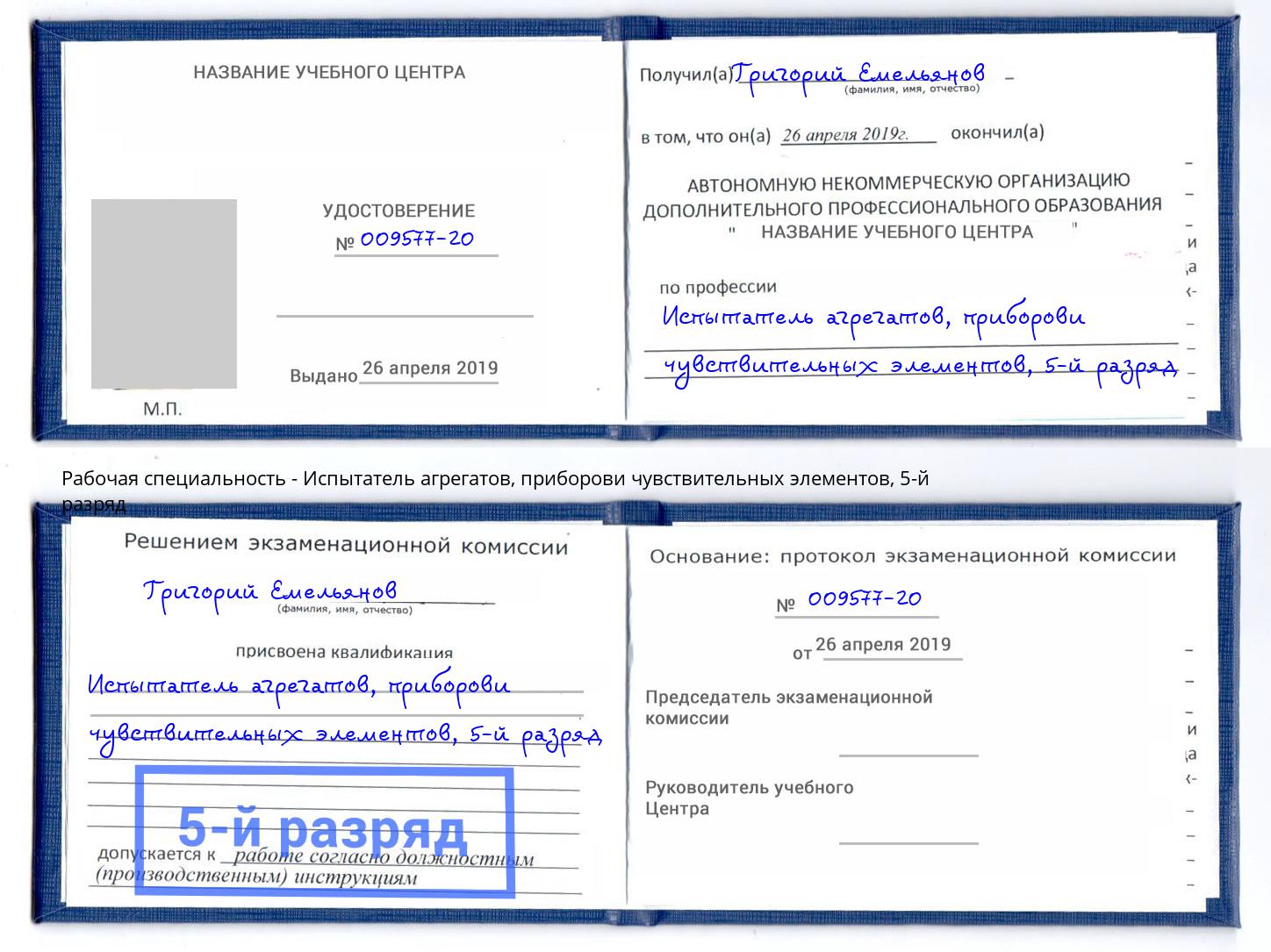 корочка 5-й разряд Испытатель агрегатов, приборови чувствительных элементов Благодарный