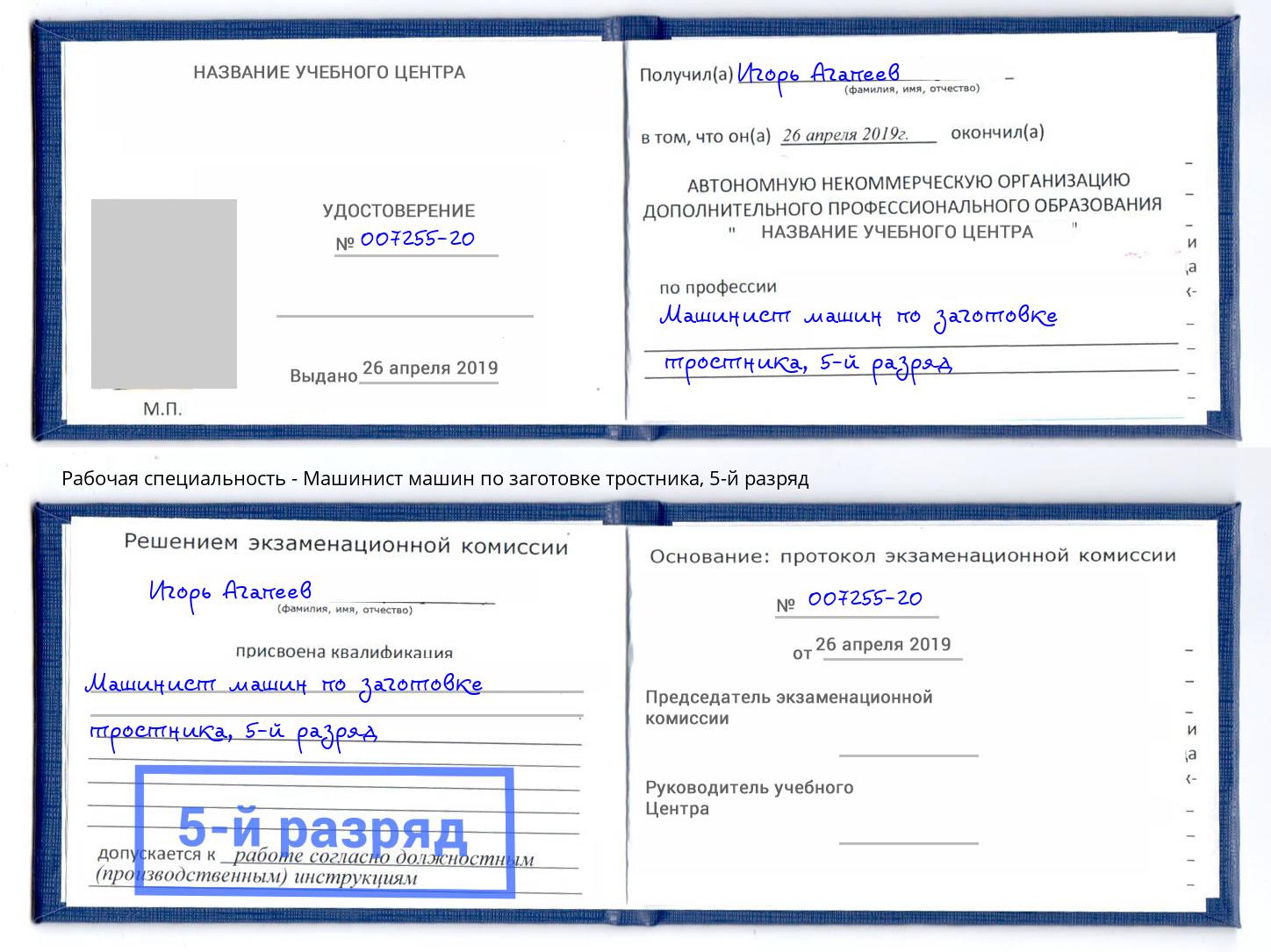 корочка 5-й разряд Машинист машин по заготовке тростника Благодарный